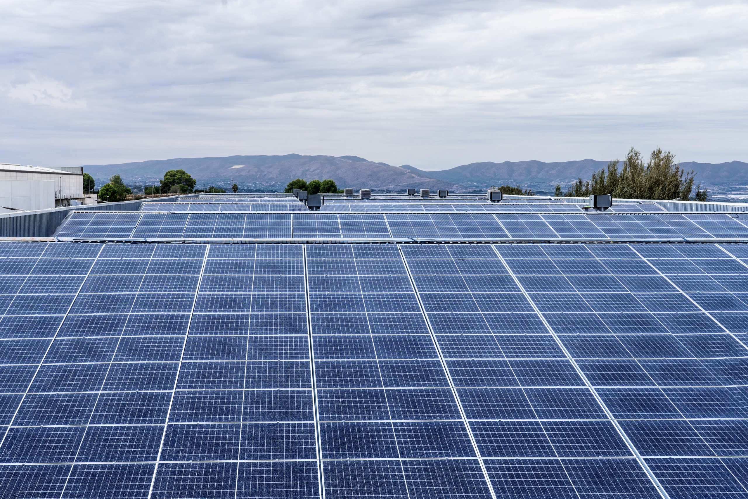 Ponemos en marcha una de las mayores plantas fotovoltaicas del sector del Cuidado Personal